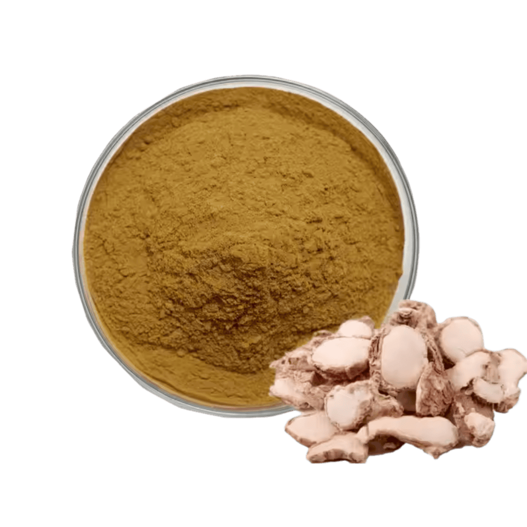 Black Ginger Extract Powder