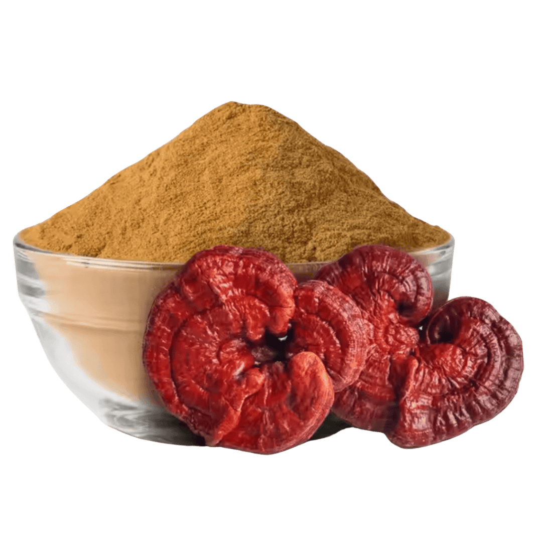 Reishi Extract Spray-Dried Powder