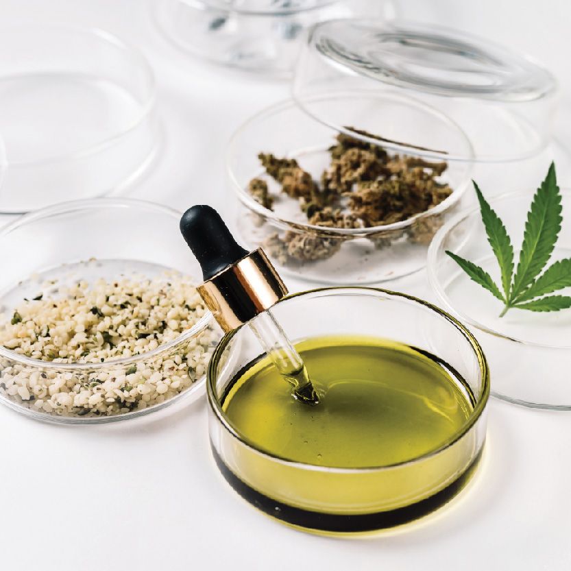 Hemp Seed Oil Refined