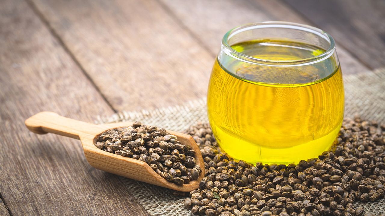 Hemp Seed Oil Refined