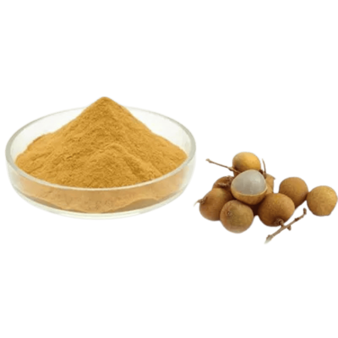 Longan Seed Extract Spray-Dried Powder