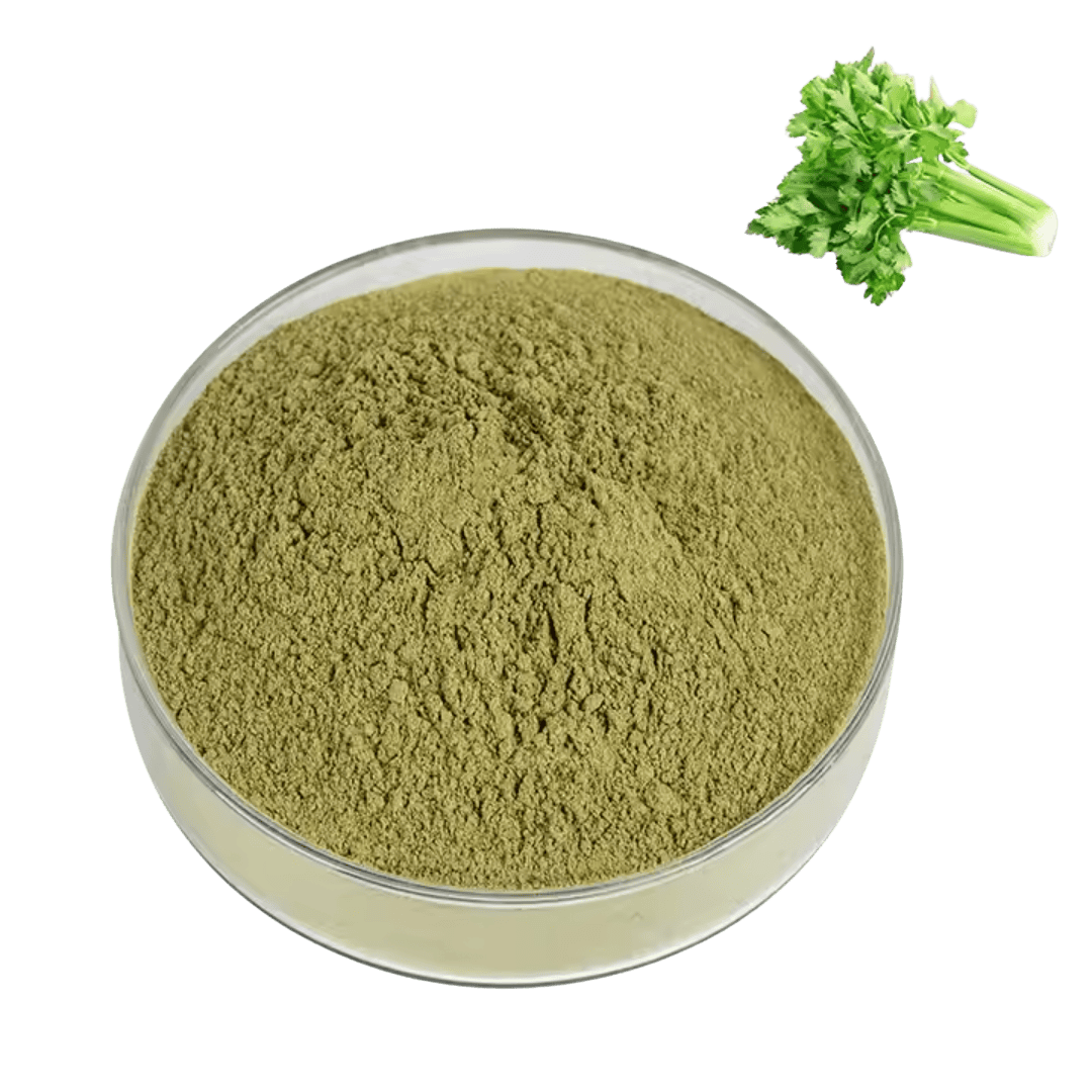 Parsley Extract Spray-Dried Powder